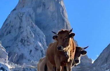 Casa Rural Adrimar - Foto 9