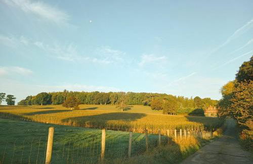 The Stables at Eriviat Hall - Foto 39