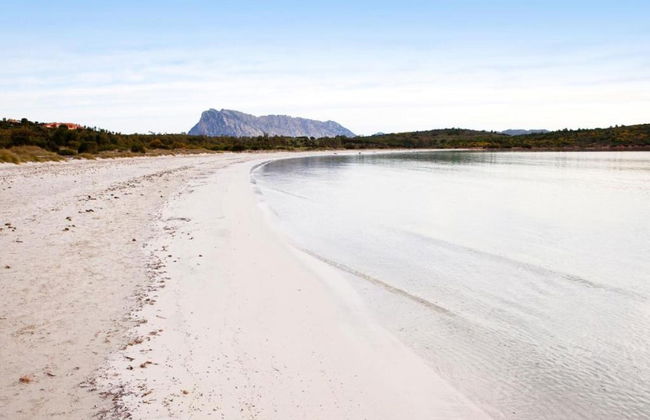 Apartment in Sos Alinos Near Sardinian Beaches - Photo 27