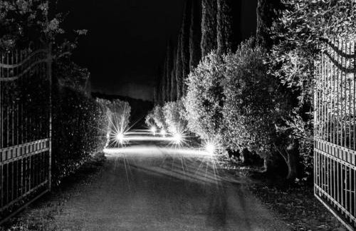 Ghiaccio Bosco - Foto 8