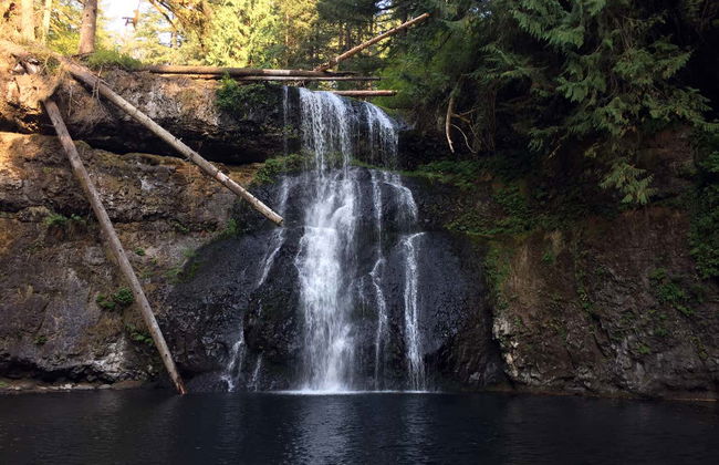 Excursión al Parque Estatal Silver Falls - Foto 8