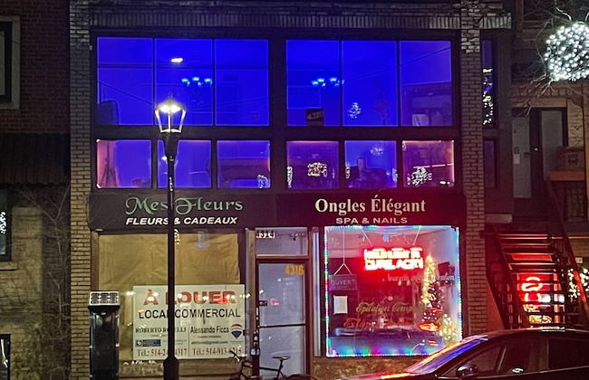 Central Apartment With a View - M Ma Tourista - Foto 10