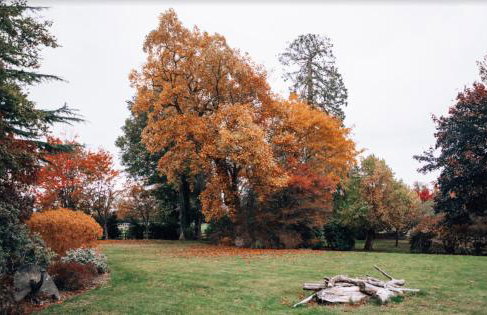 Denham Mount - Photo 71