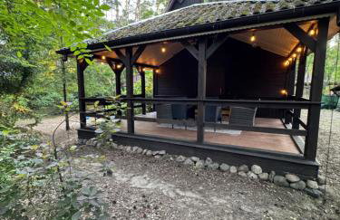 Leśna Chata Arciechów - Foto 17