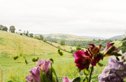 Rolling Hills - Foto 37