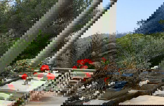 Villa Scinata Historic House - Foto 78