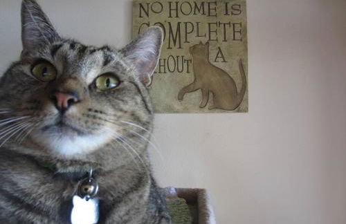 Garden Oasis at Banana Hale Studio - Foto 11