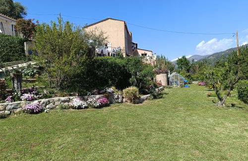 Le panoramique - Foto 11