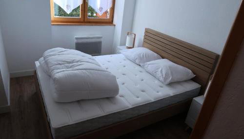 Chalet Du Regain - 3 pièces 8 personnes exposé Sud-Est MAE-9294 - Foto 5