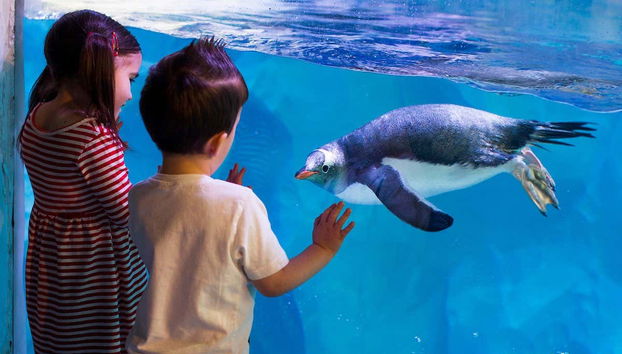 ¡Una actividad perfecta para los niños!