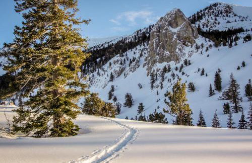 Summit 295 - Photo 12