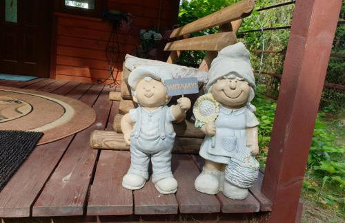 Brązowy Domek - Tleń, Bory Tucholskie - Foto 11