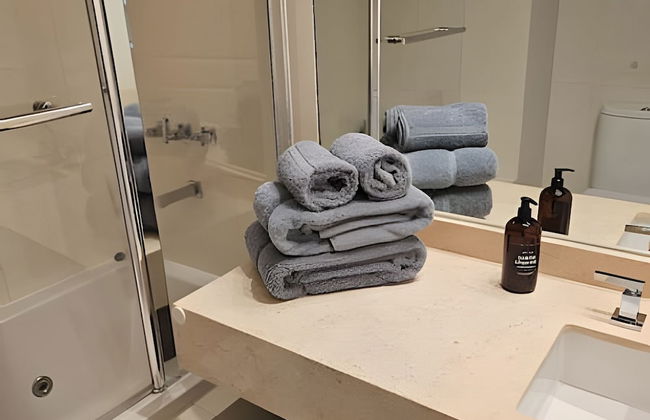 Alquiler 2 Ambientes frente Hotel Hilton - Foto 13