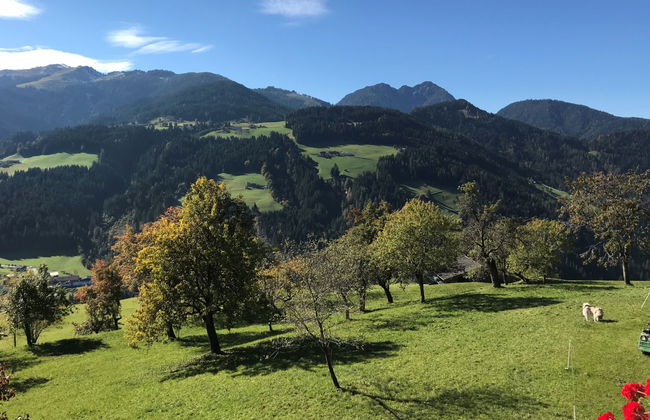 Feldkasten - Foto 54