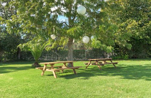 Quinta das Tílias - Foto 10