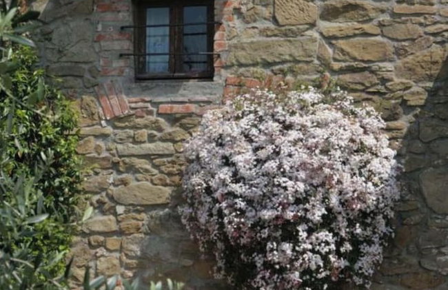 Borgo La Casetta - Foto 38