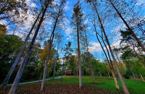 Glade Cottage at White Lotus Eco Spa Retreat - Foto 10