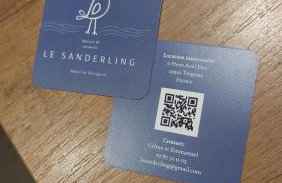 Le Sanderling - Foto 19