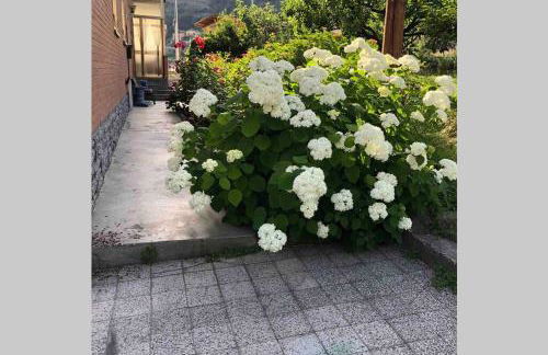 La Maison des Hirondelles Alloggio ad uso turistico - VDA SAINT-PIERRE 0035 - Foto 7