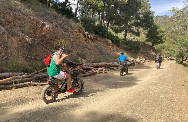 Noleggio bici E-FAT di 10 ore per scoprire Malaga al tuo ritmo - Foto 1