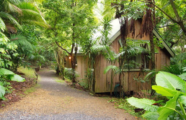 Mt Glorious Getaways - Foto 2