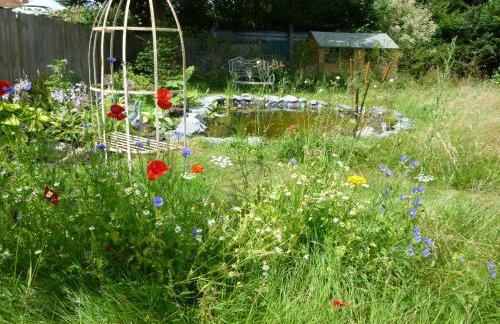 Golden Cross - Photo 16