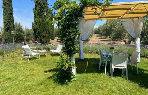 Tenuta Le Mandorlaie, Agriturismo in Scansano - Foto 59