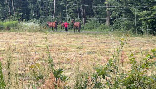 Radawa LOVE - Foto 5