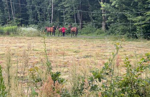 Radawa LOVE - Foto 5