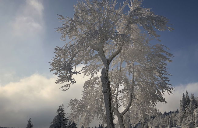 Apartments Fichtelberger Blick - Foto 46