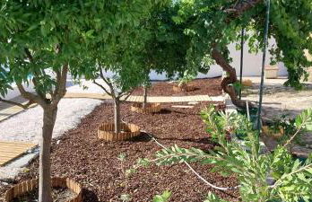 Cantinho de Terena - Cheiros Da Terra - Foto 19