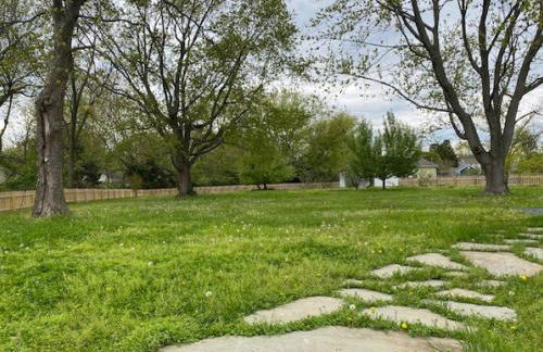 Crepe Myrtle - Foto 52