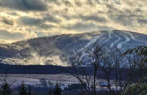 The Davis Ridge - Photo 34