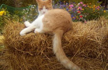 Le Clos Doux - Foto 28