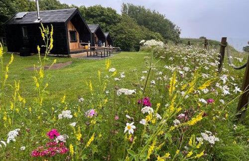 St Bede Beach Hut Alnmouth - Foto 8