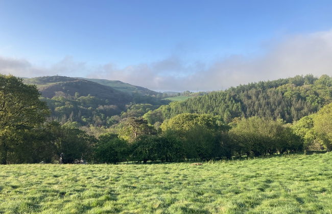 Hapus Yurt - Two Beautiful Yurts and Barn Cottage - Foto 19