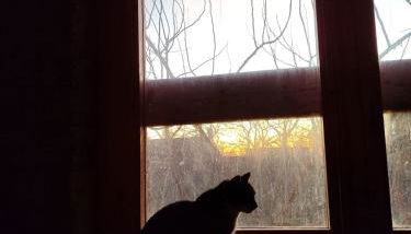 Le Case del Campus - Foto 2