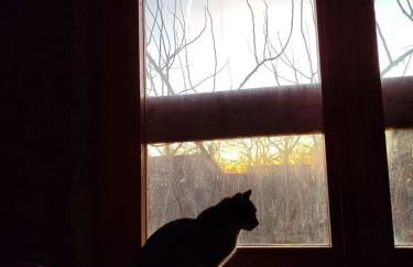 Le Case del Campus - Foto 2