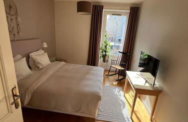 Entire Apartment or Private Rooms, Minutes from Geneva, Excellent Location - Photo 32