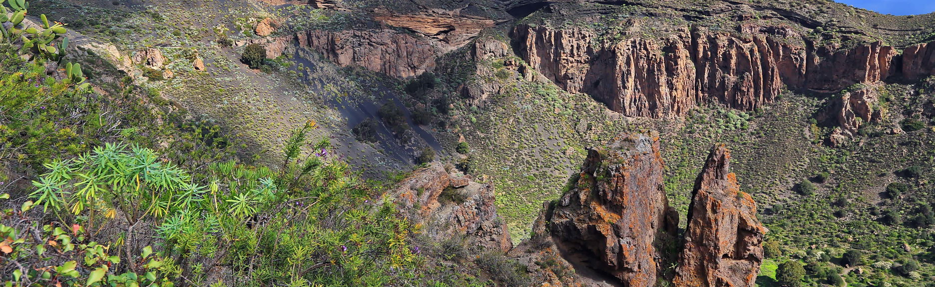 Visite de Las Palmas et du volcan de Bandama