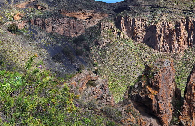 Las Palmas & Caldera de Bandama Day Trip - Foto 1