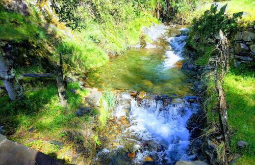 Refúgio do Fujaco - Foto 15