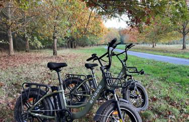 Maison Moz - Foto 43