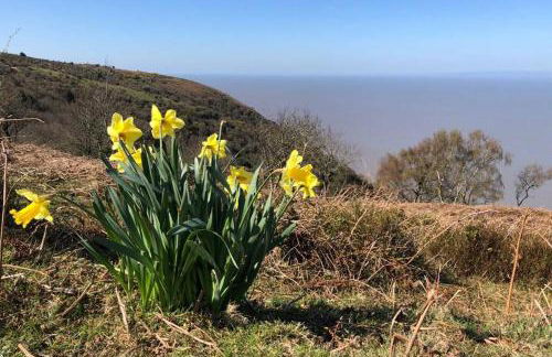 Barton Cottage - Foto 33