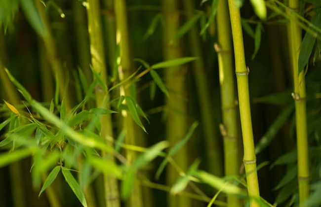 Rusticae Casa A Pedreira - Photo 51