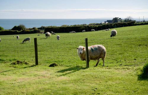 Criccieth- STUDIO GLAN ERIN BACH - Foto 42