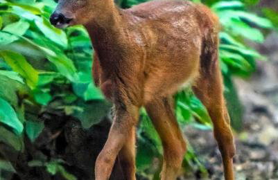 Lincoln Holiday Retreat Lodge with Private Hot Tub - Foto 22