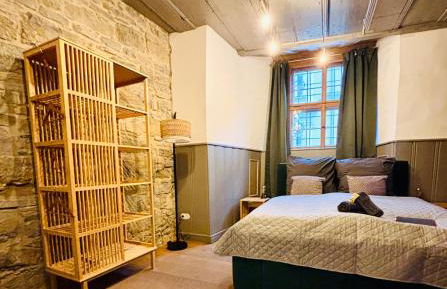 SH Apartments - Einzigartiges Loft in der Altstadt - Foto 5