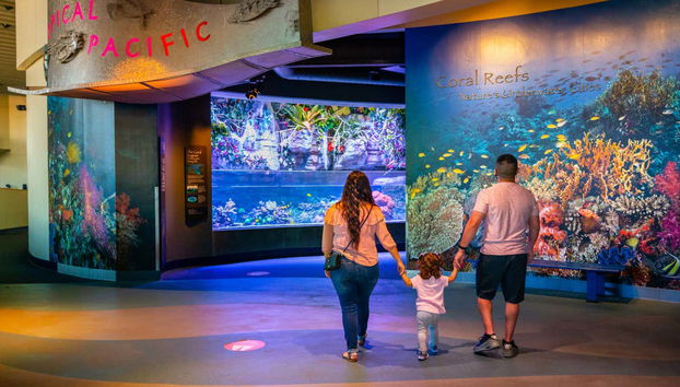 Aquarium of The Pacific