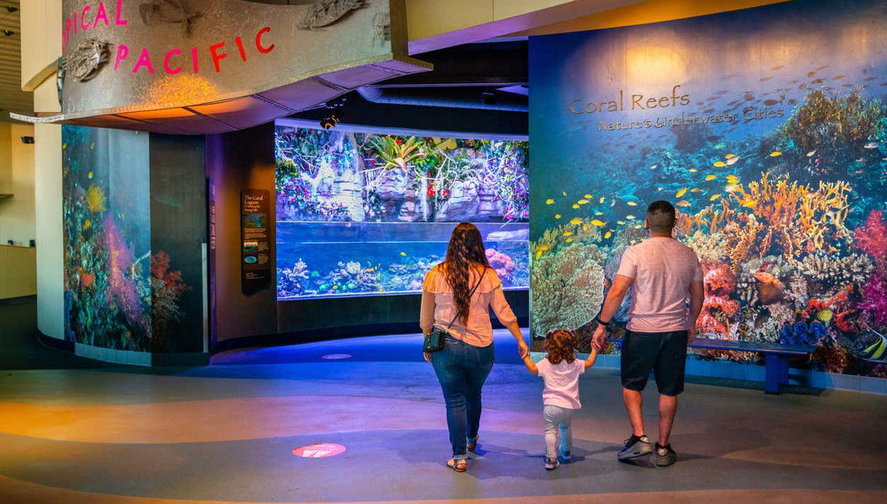 Welcome to the Aquarium of The Pacific
